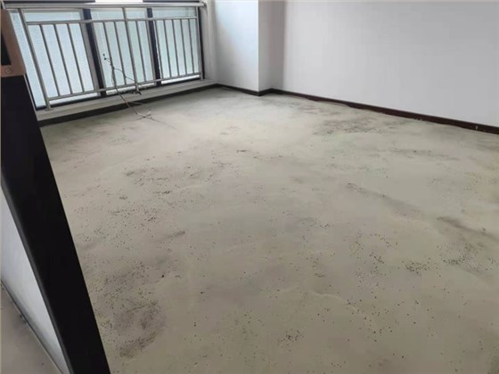 办公室地毯工程4