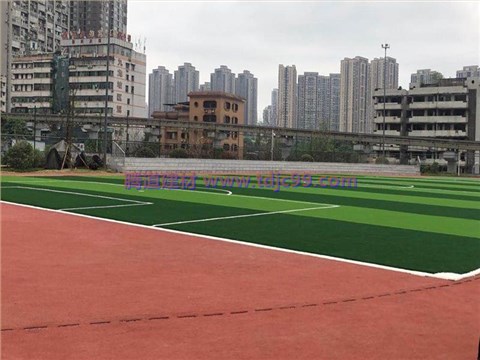北大资源燕南小学球场草坪工程