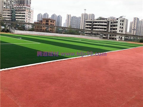 北大资源燕南小学球场草坪工程