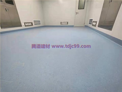 大坪何氏眼科医院地胶工程