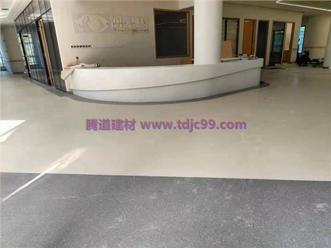 大坪何氏眼科医院地胶工程