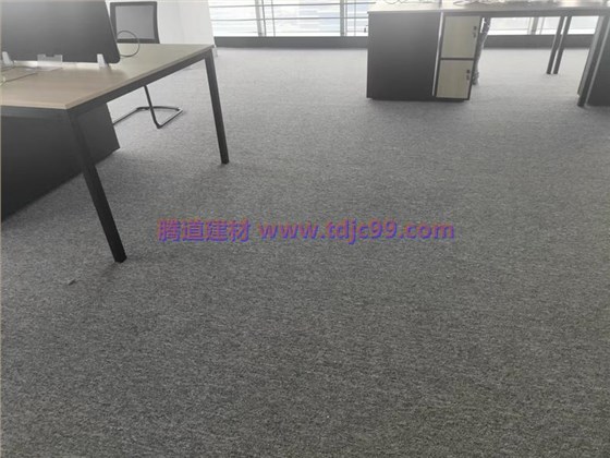 办公室地毯工程9