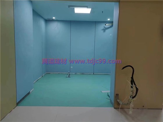 沙坪坝区瑜佳人口腔医院同质透心地胶工程 (5)
