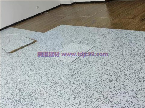 重庆威思领恒科技防静电地胶工程