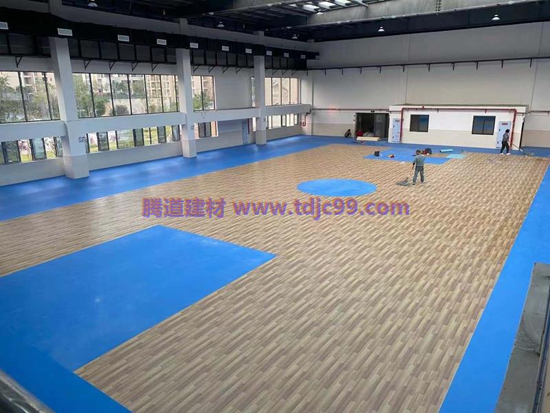 学校运动地胶2